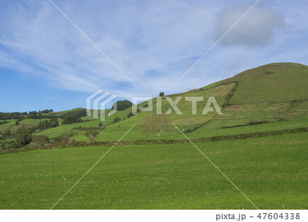 Lush green grass hills with fields and pastures, blue sky and white clouds, typical landscape of San Lush green grass hills with fields and pastures, blue sky and white clouds, typical landscape of San 47604338