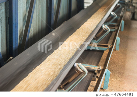 Plant for storage and processing of grain, grain moves along a conveyor belt, blurred, conveyor belt Plant for storage and processing of grain, grain moves along a conveyor belt, blurred, conveyor belt 47604491