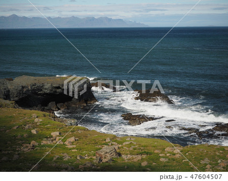 Grassy sea shore with mountain background 47604507
