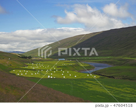 fertile river valley with  lush grass, straw bale and farm 47604518