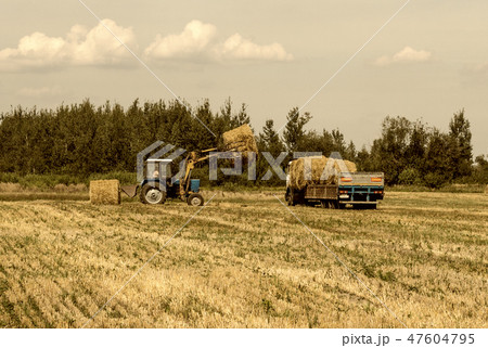 Farmer on a tractor picks haystack and loads bale of hay into the trailer, agriculture Farmer on a tractor picks haystack and loads bale of hay into the trailer, agriculture 47604795