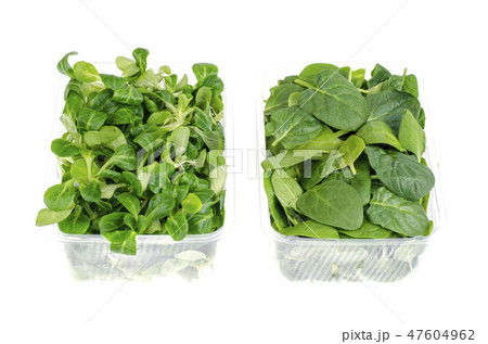 Packing with fresh herbs for salads 47604962