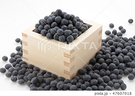 黒大豆 47607018