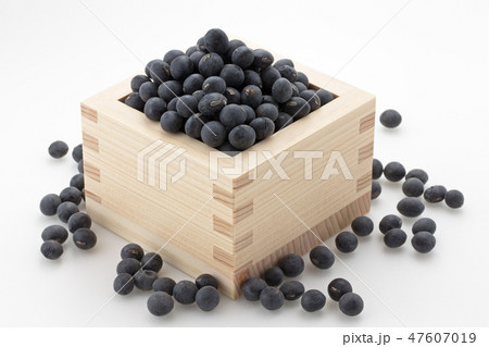 黒大豆 47607019