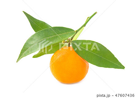 Orange mandarin with green leaf 47607436