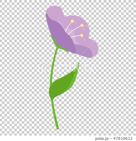 花のイラスト 一輪の紫色の花 のイラスト素材