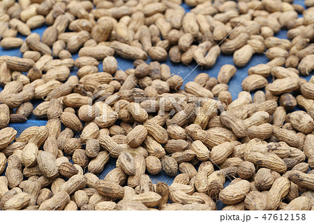 Dried peanuts with Sunlight. Dried peanuts with Sunlight. 47612158