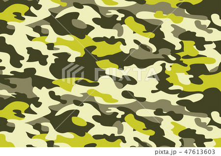 Camouflage military background. 47613603