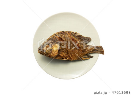 Fried fish on white dish. 47613693