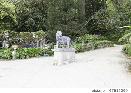 Lion statue in a garden Lion statue in a garden 47615090