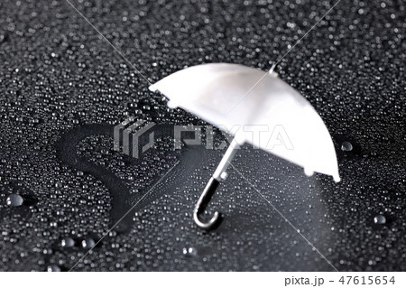 雨の恋人 雨の恋人 47615654