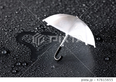 雨の恋人 雨の恋人 47615655