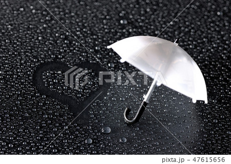 雨の恋人 雨の恋人 47615656