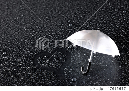 雨の恋人 47615657