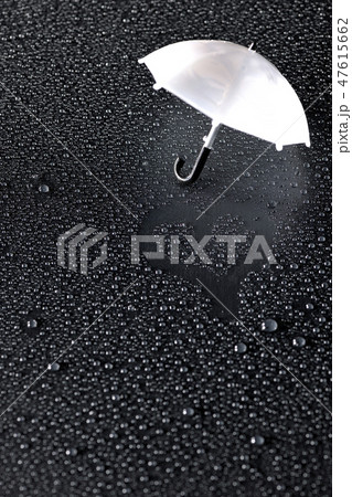 雨の恋人 雨の恋人 47615662