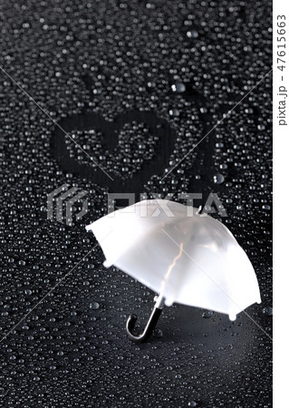 雨の恋人 47615663
