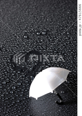 雨の恋人 雨の恋人 47615666