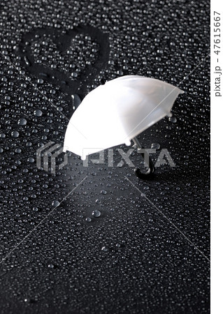 雨の恋人 雨の恋人 47615667