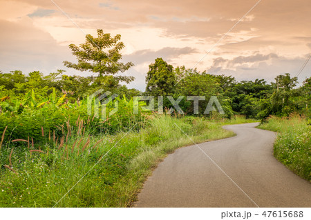 The rural road takes us to a beautiful green The rural road takes us to a beautiful green 47615688