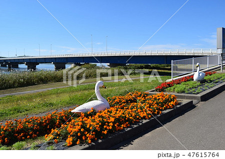 出羽大橋 山形県最長の橋 47615764