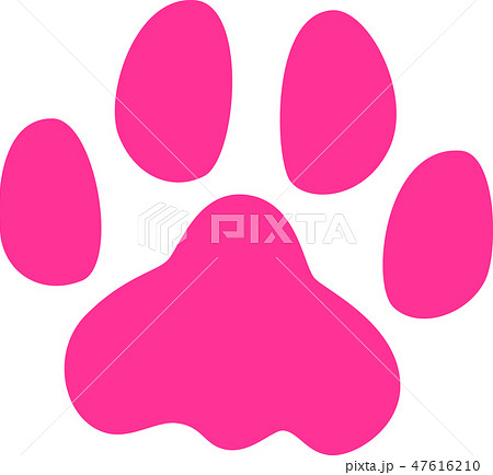 足跡 犬 濃いピンクのイラスト素材