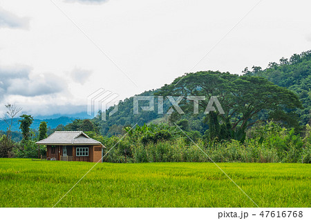 Villa in the countryside that is beautiful Villa in the countryside that is beautiful 47616768