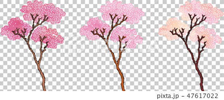 浮世絵 桜 その3のイラスト素材
