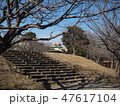 公園の午後の日差し 47617104