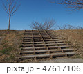 散歩道の階段 47617106