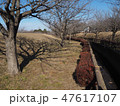 散歩道の公園 47617107