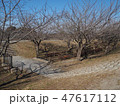 散歩道の公園 47617112