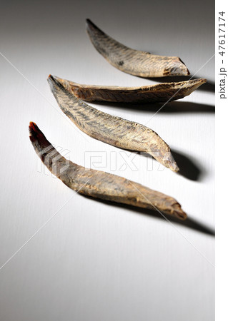 鰹節　宗田節　宗田鰹　かつお節 47617174