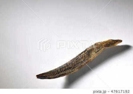 鰹節 鰹節 47617192