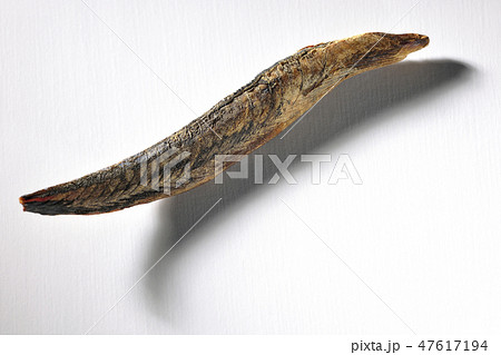 鰹節 鰹節 47617194