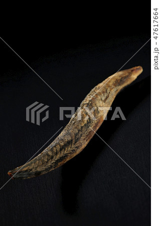 鰹節　宗田節　宗田鰹　かつお節 47617664