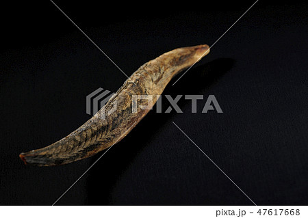 鰹節 宗田節 宗田鰹 かつお節 鰹節 宗田節 宗田鰹 かつお節 47617668