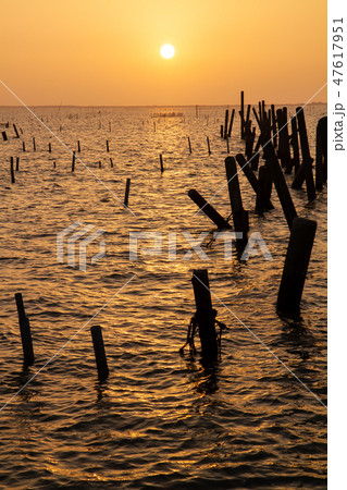台湾 漁港 養殖 47617951