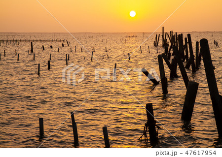 台湾 漁港 養殖 47617954