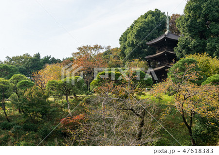 椿山荘　庭園 47618383