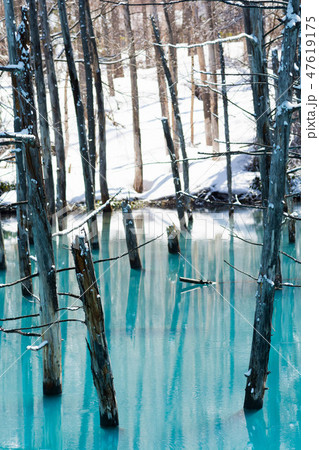 雪が溶け始めた春の湖　美瑛町 47619175