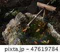 神社の湧き水 47619784