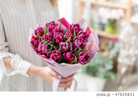 Bouquets of violet tulips. Spring flowers from Dutch gardener. Concept of a florist in a flower shop Bouquets of violet tulips. Spring flowers from Dutch gardener. Concept of a florist in a flower shop 47620831