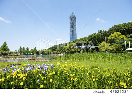 春の東山公園 47622584