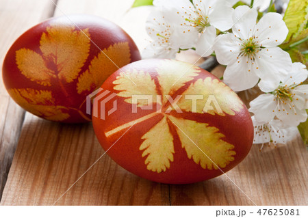 Easter eggs dyed with onion peels 47625081