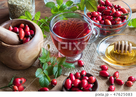 A cup of rose hip tea with fresh rose hips 47625083