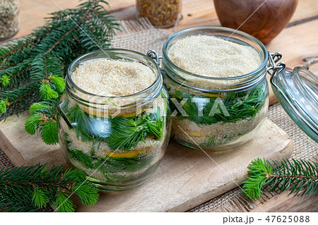 Preparation of herbal syrup from young spruce tips 47625088