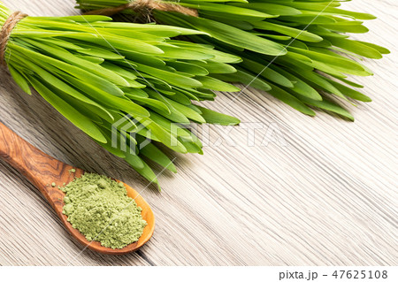 Fresh young barley grass with barley grass powder 47625108
