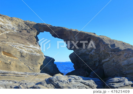 城ヶ島の馬の背洞門 城ヶ島の馬の背洞門 47625409