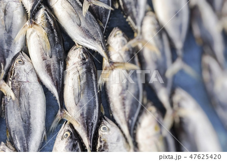 Fresh fish at local food market.Selective focus. 47625420