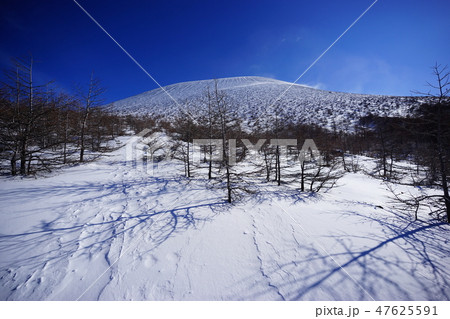 賽ノ河原からの前掛山１ 47625591